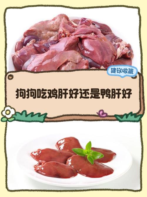 给狗狗吃鸡肝好还是鸡头好