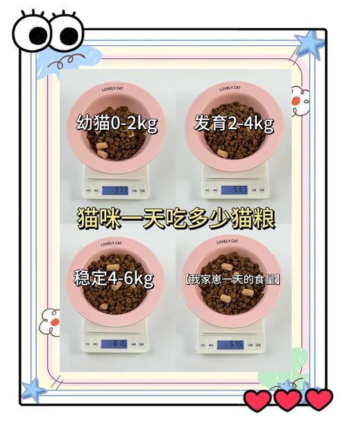 猫咪一餐吃多少g