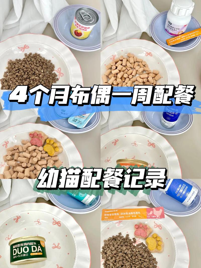 幼猫一餐大概吃多少