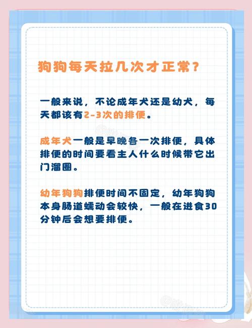 狗狗一天拉几次大便正常