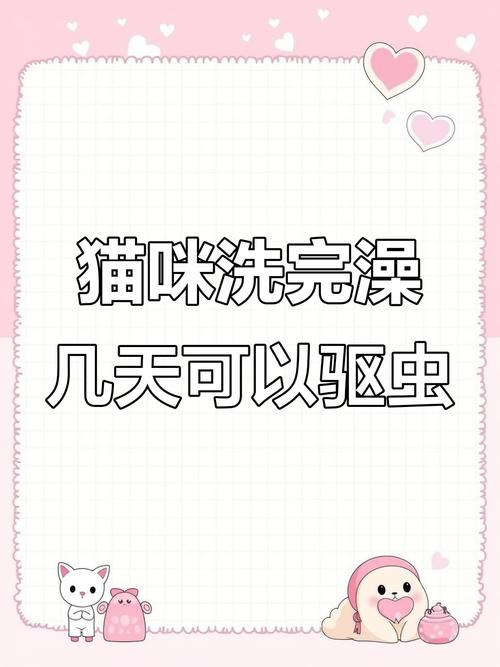 猫咪打虫药多久一次