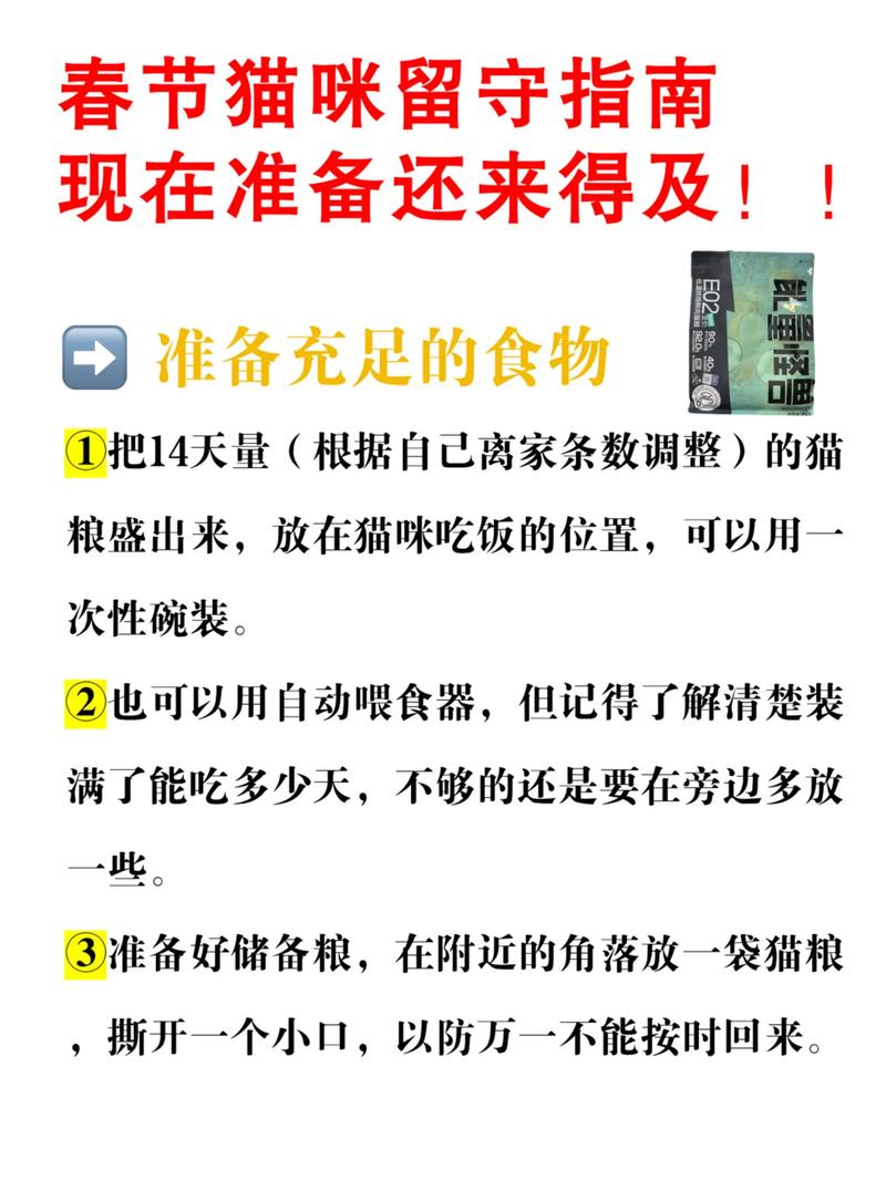 过年回家猫咪怎么安置