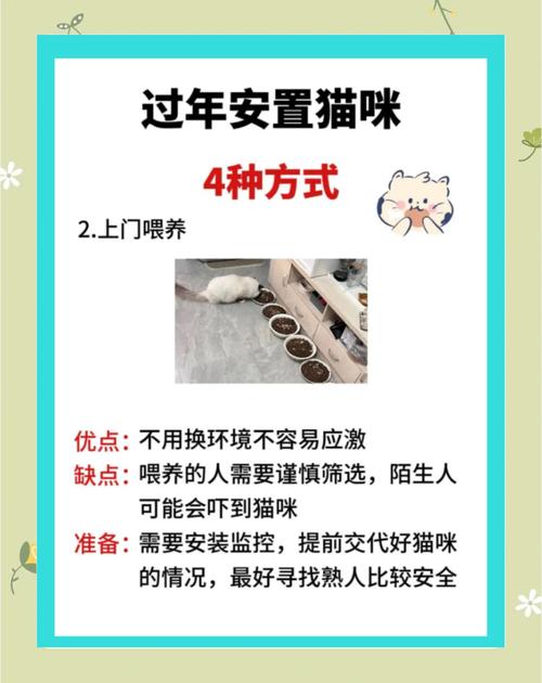 过年回家猫咪怎么办
