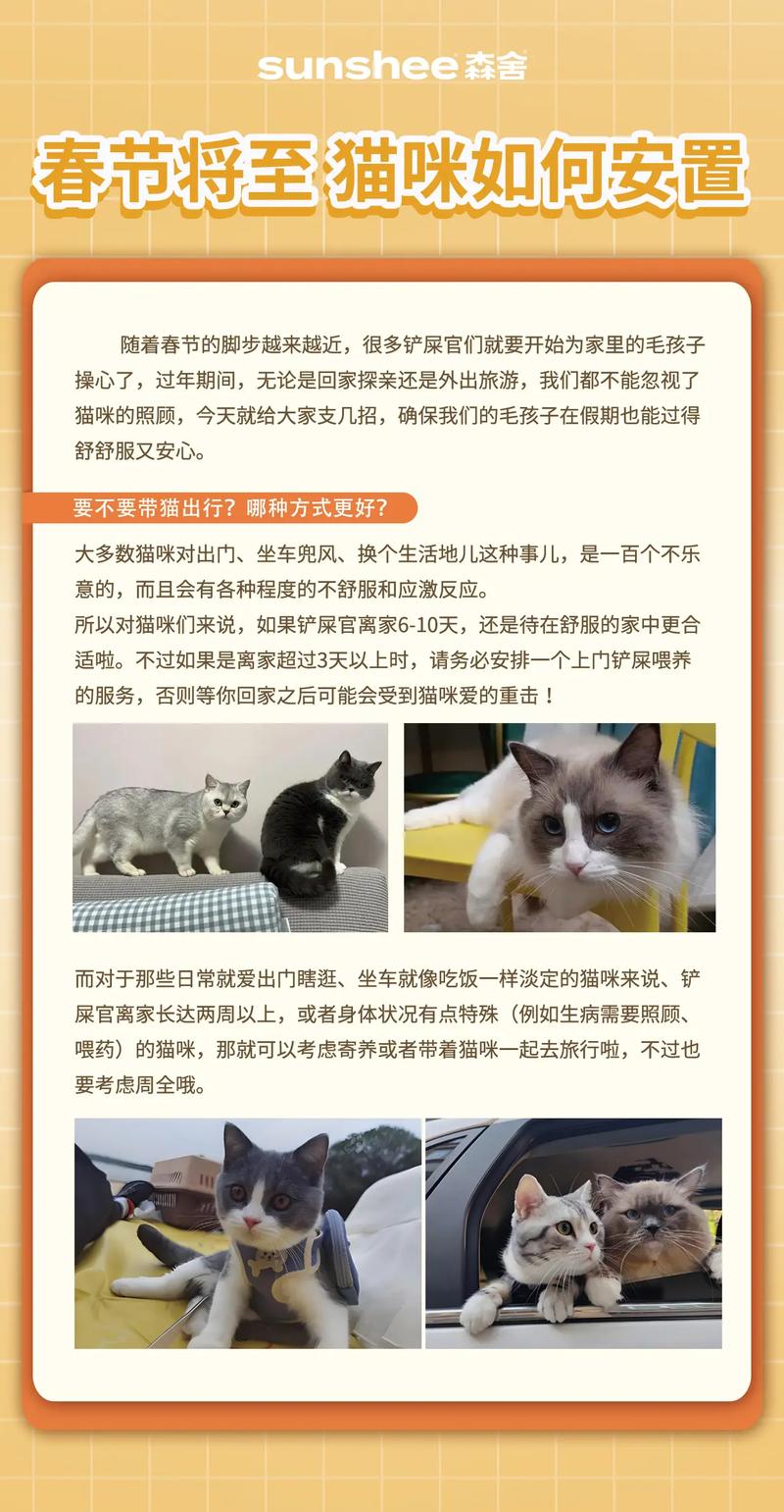 过年回家猫咪怎么处理?