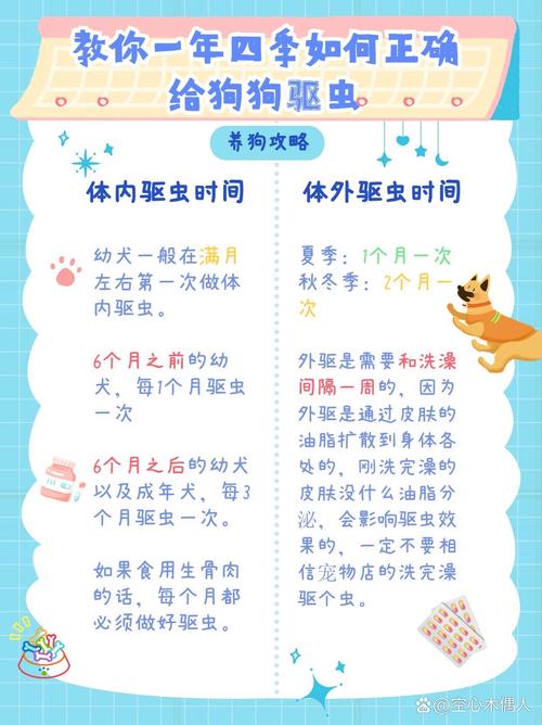 狗狗多久驱虫一次