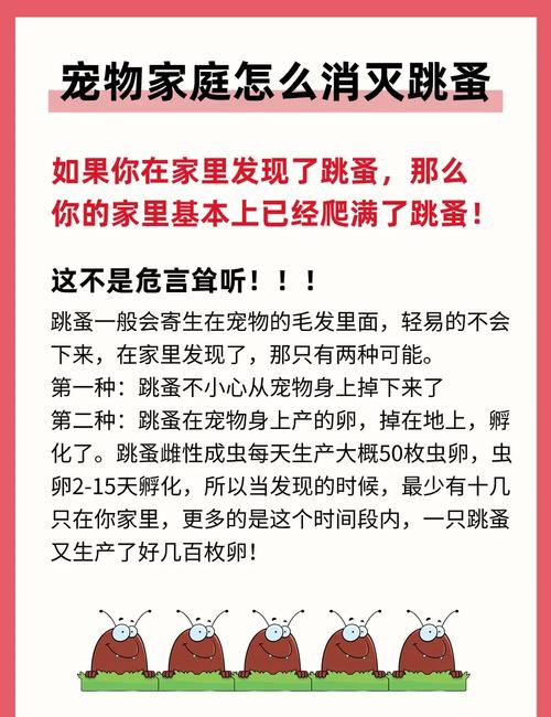 用什么药驱猫咪身上的跳蚤