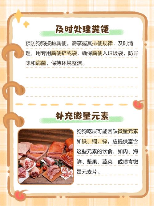 狗吃了人屎需不需要给他清洁