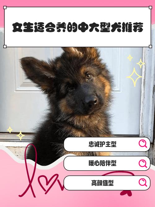 女孩子养什么狗狗好?