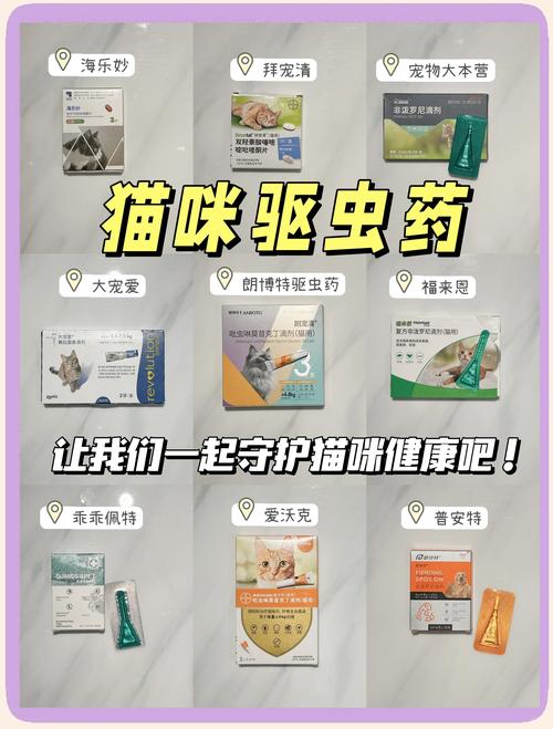 两个月的猫咪怎么驱虫