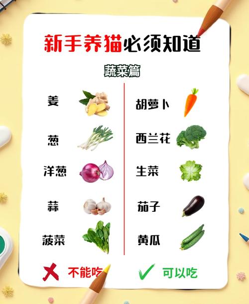 猫可以吃的蔬菜