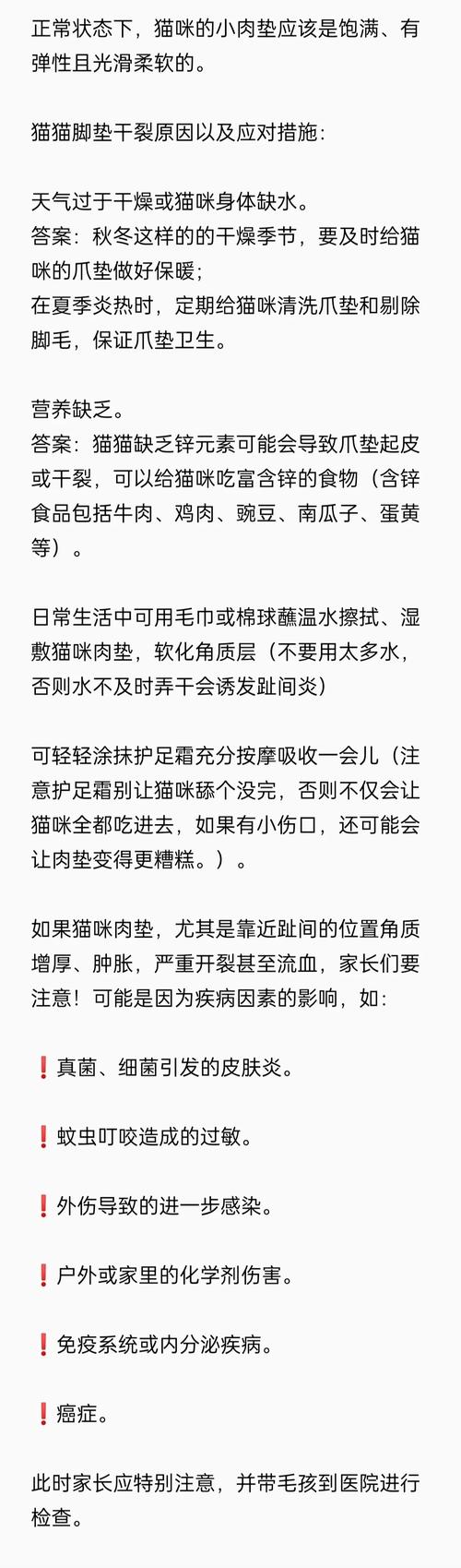 猫咪脚掌受伤了怎么办