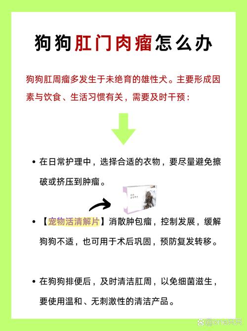 狗狗得了痔疮,怎么治疗比较好?