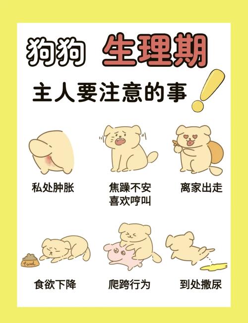 发了情的狗狗怎么处理