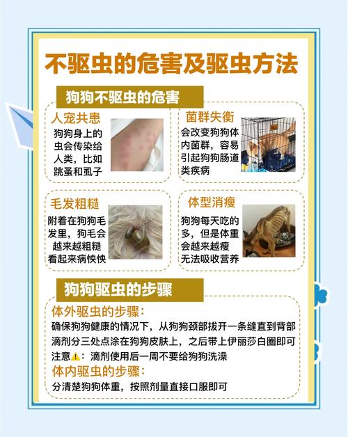 狗狗常见的体外寄生虫有哪些?狗狗常见寄生虫及驱虫注意事项!