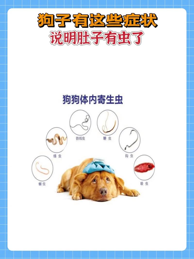 狗狗有寄生虫的症状有哪些?