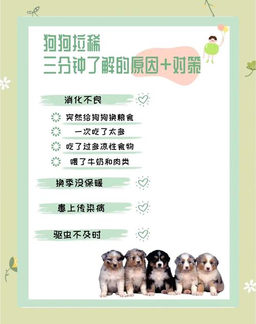 狗狗夏天拉稀怎么回事