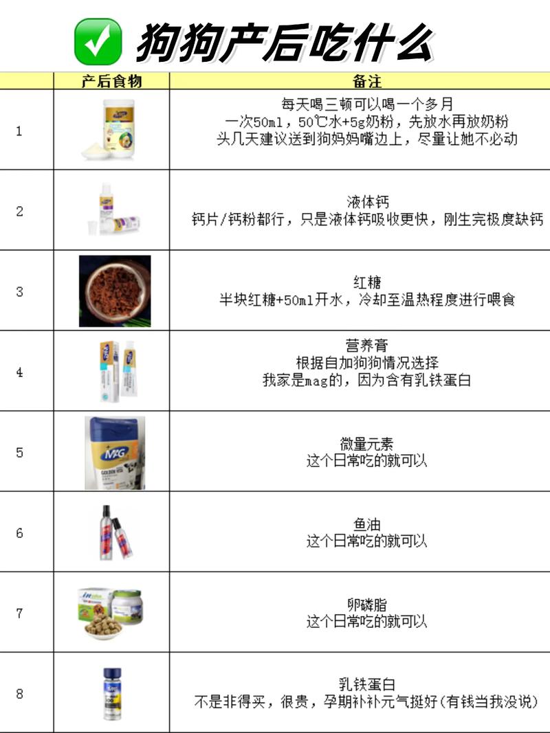 产后的狗狗吃什么好