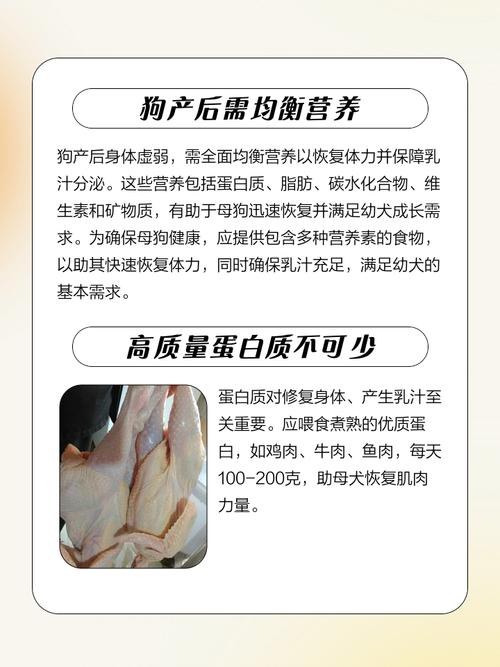 狗狗刚生产完吃什么好