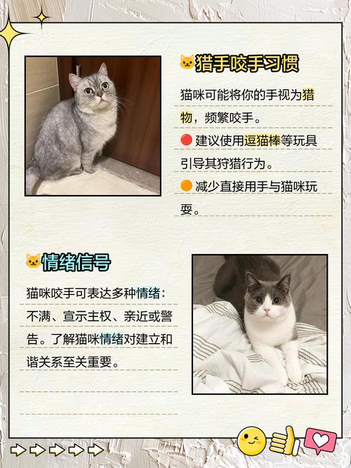 猫无缘无故炸毛还要攻击主人