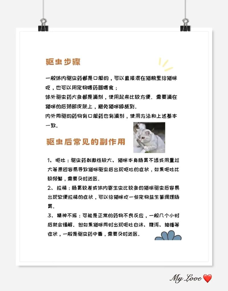 猫咪体内外驱虫多久一次