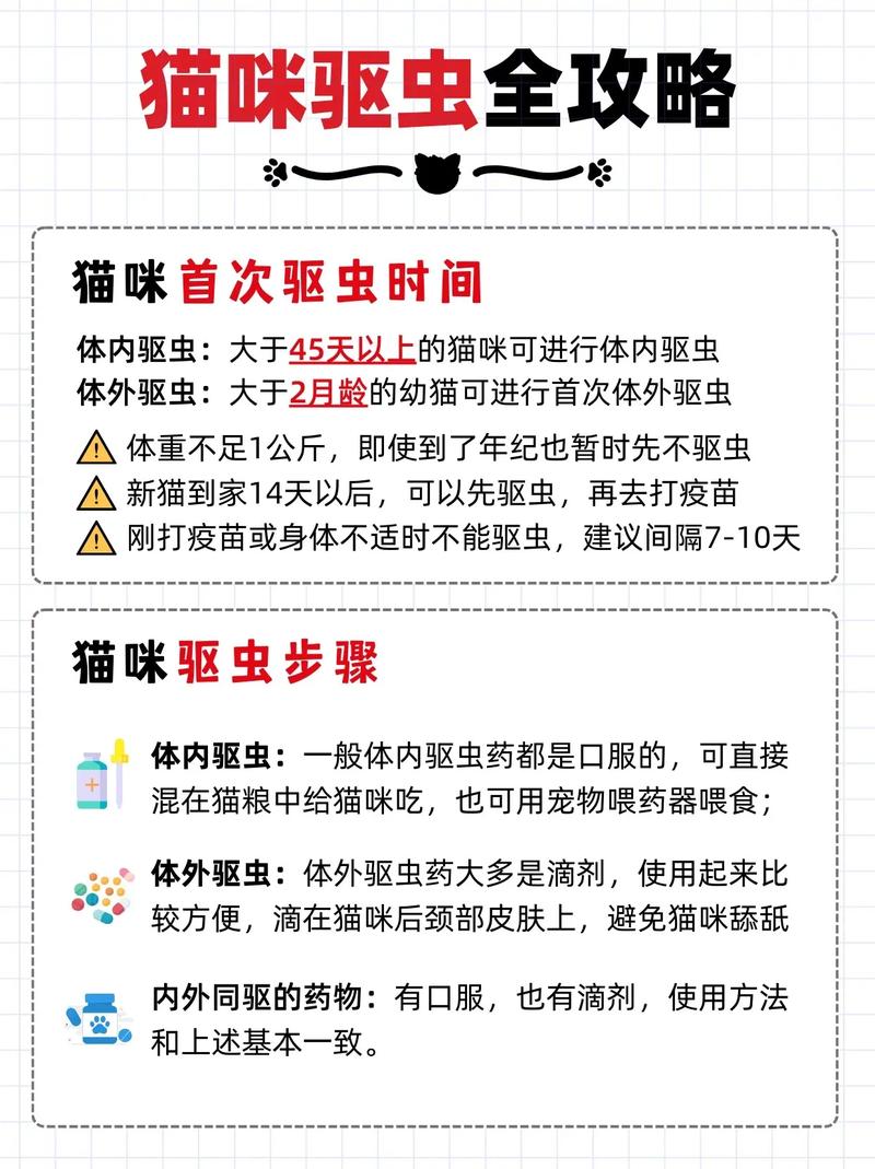 猫体外驱虫多久做一次?