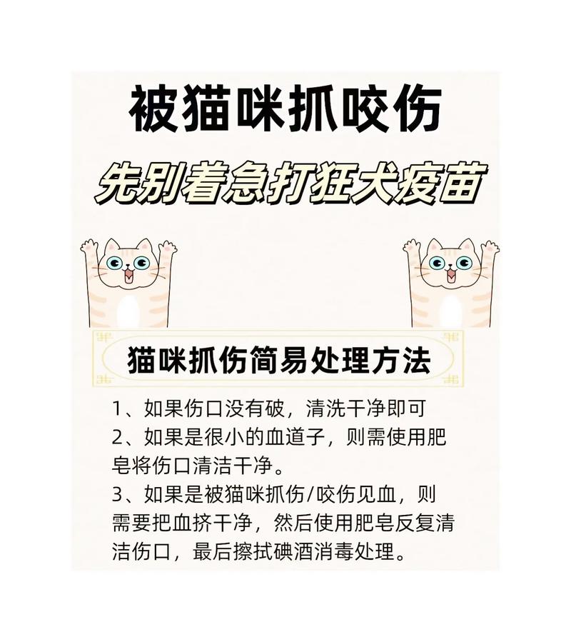 被猫咪抓伤肿了怎么办