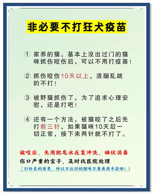 被猫咪抓伤、咬伤后该怎么办?要不要打疫苗呢?