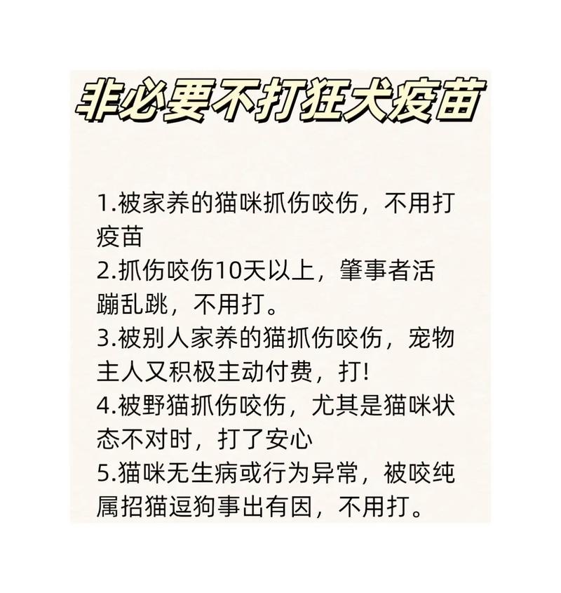 被小猫抓破了一点点皮怎么办