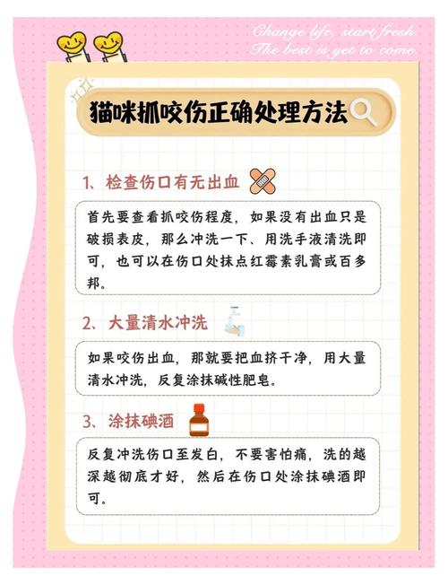 被猫咪抓伤了怎么办?被猫抓破的处理方法!