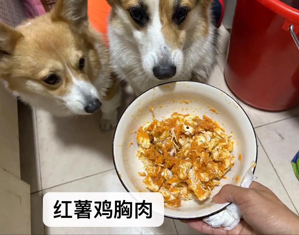 怎么给狗狗煮鸡胸肉吃呢?