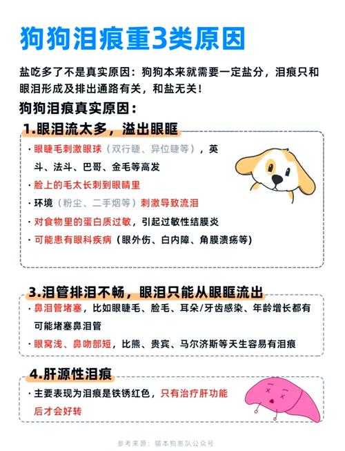 四个月大的狗狗有泪痕怎么办