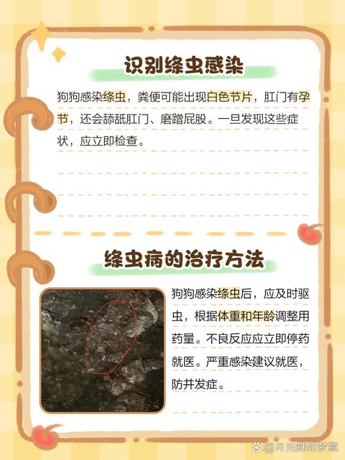 狗狗把排出来的绦虫吃进去了怎么办?