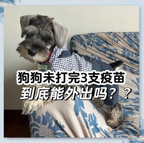 小狗一定要要等打完全部疫苗才能出门么?