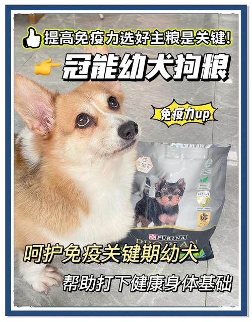 小狗没打完疫苗可以出门吗