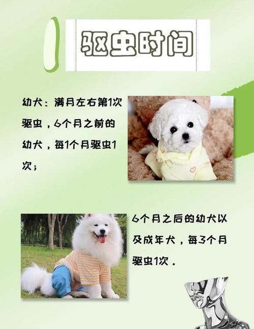 小狗多大可以体外驱虫