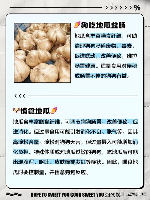 狗狗吃地瓜有什么好处?