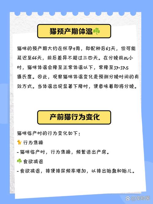 怎么判断一只母猫是否生完了?