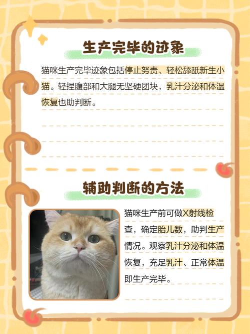 怎么判断母猫生完了,肚子里没有了