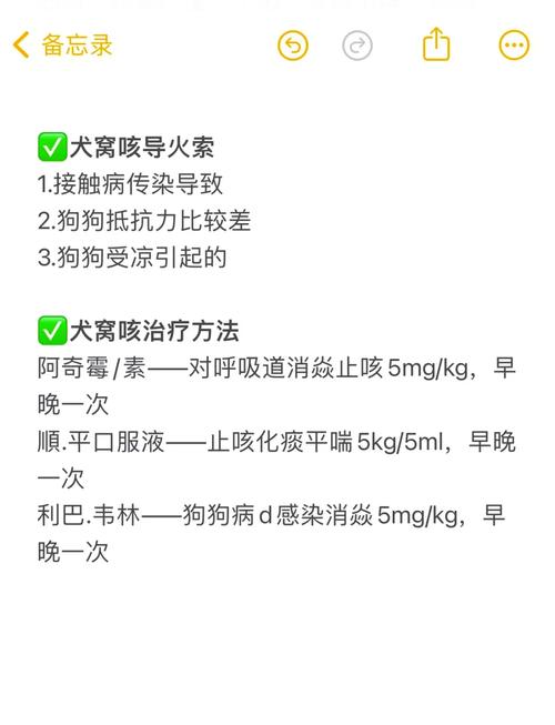 狗狗吹空调感冒了应该怎么办