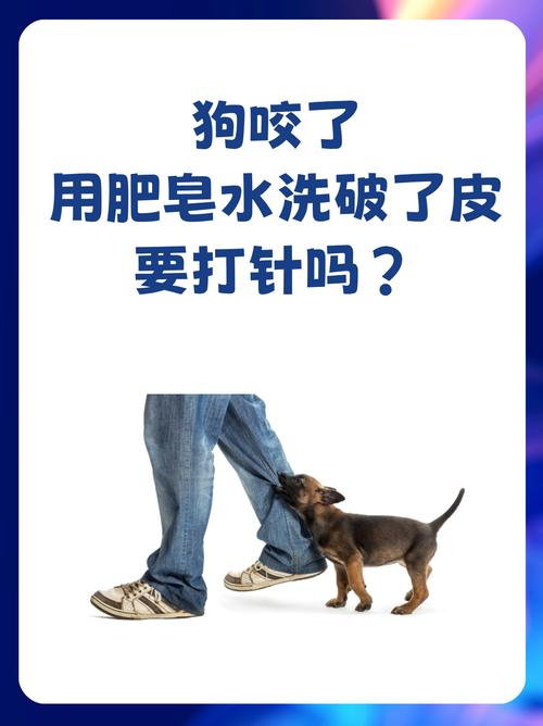 小狗吃了肥皂怎么办