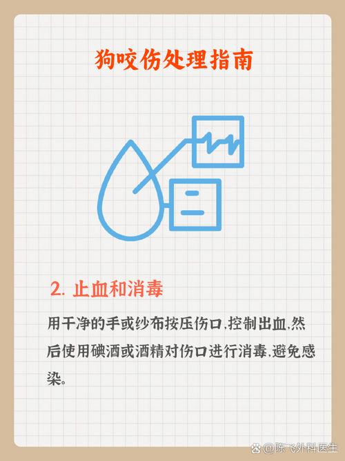 狗狗喝了肥皂水怎么办