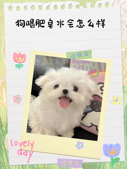 狗狗误吃了肥皂要紧吗?会有什么后果?