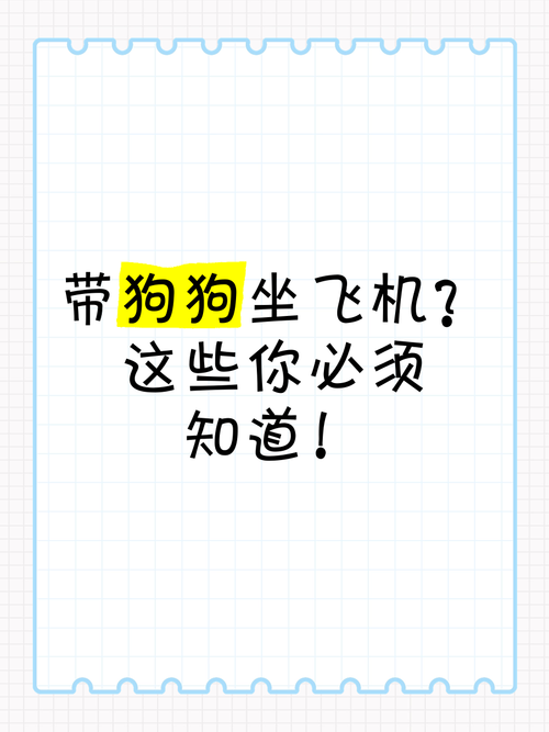 飞机可以托运狗狗么