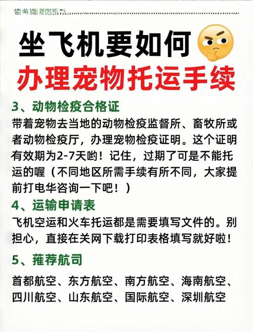 狗狗坐飞机怎么收费