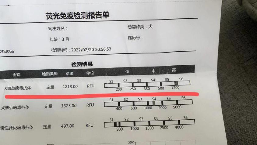 狗狗三项抗体正常值3以上吗