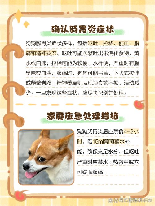 狗狗肚子痛的表现和处理方法,快速缓解狗狗肚子疼
