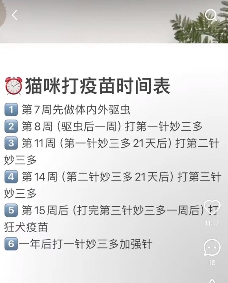 家猫必打的疫苗有哪些