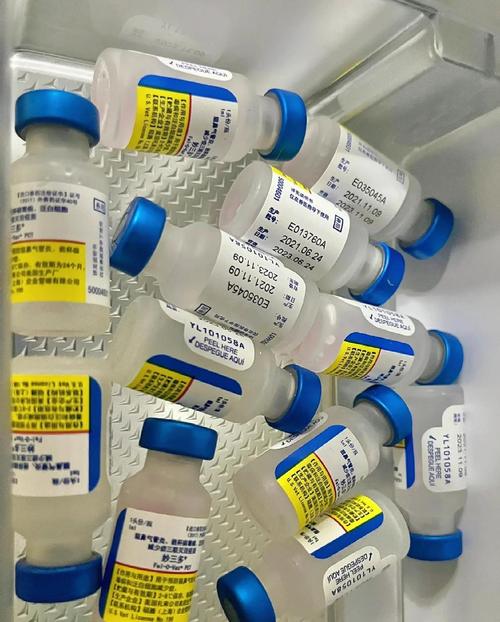 过了4月的小猫疫苗,打一针?两针?三针?