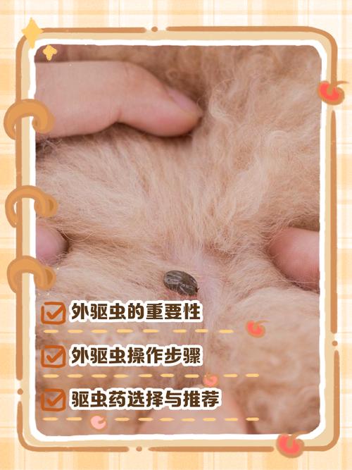 两个月的小狗怎么驱虫