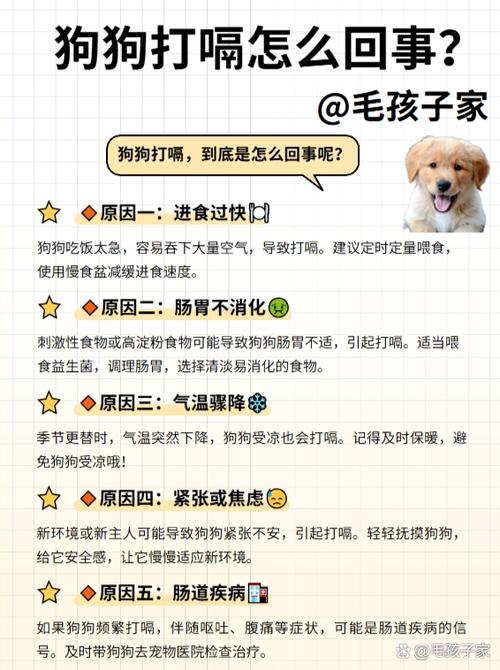 狗狗为什么会饱嗝